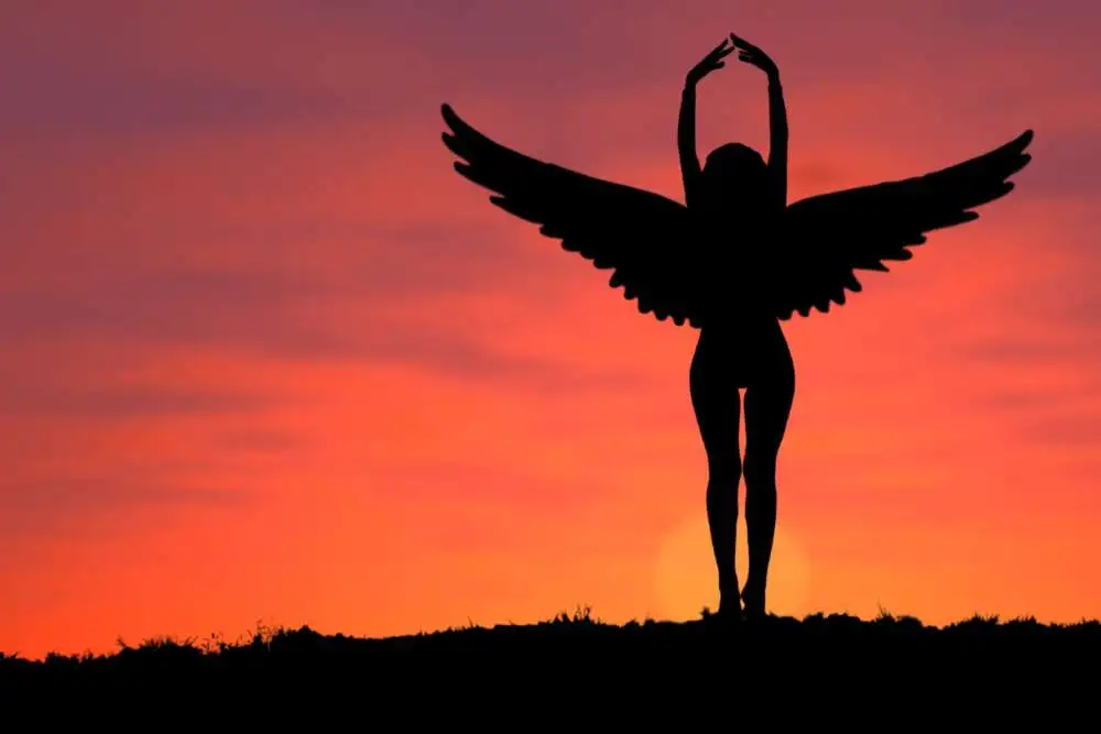 221 Angel Number Meaning - Symbolism, Twin Flames, Numerology, and More