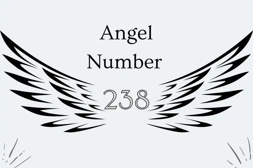 238 Angel Number Meaning Symbolism, Twin Flames, Love, Bible, Culture, Religious, Numerology, and Love