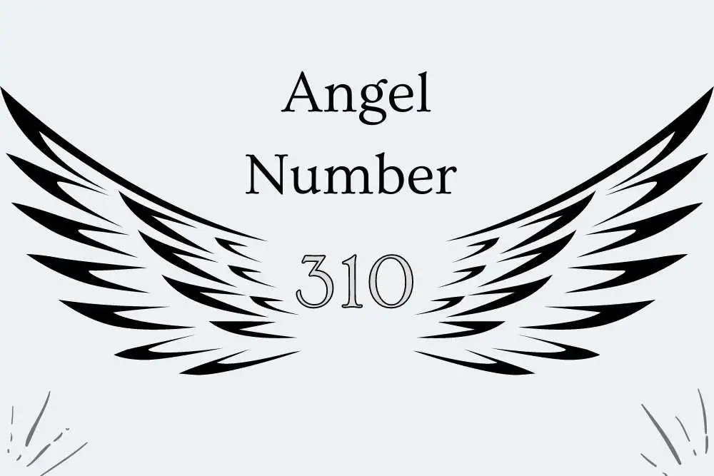 310 Angel Number Meaning Symbolism, Twin Flames, Love, Bible, Culture, Religious, Numerology, and Love