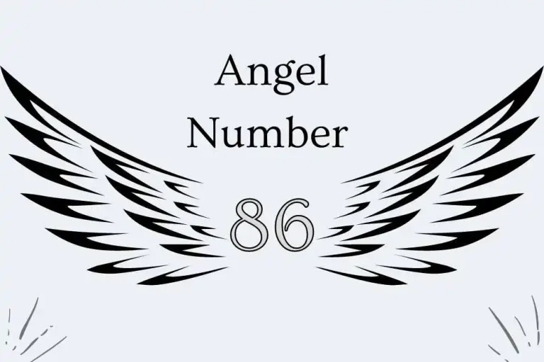 86 Angel Number Meaning – Symbolism, Twin Flames and More