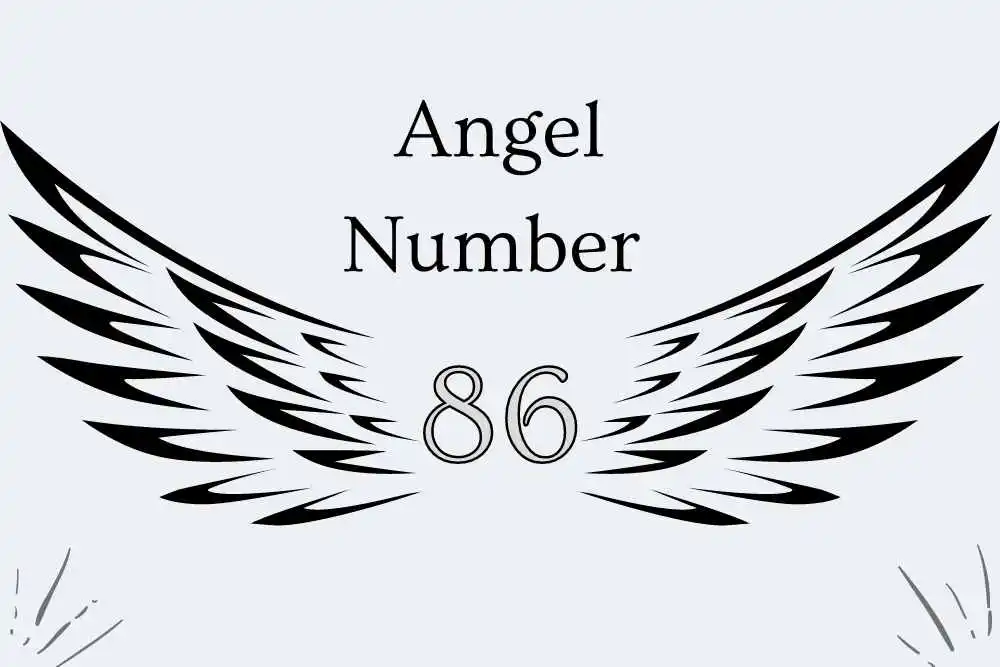 86 Angel Number Meaning Symbolism, Twin Flames, Love, Bible, Culture, Religious, Numerology, and Love
