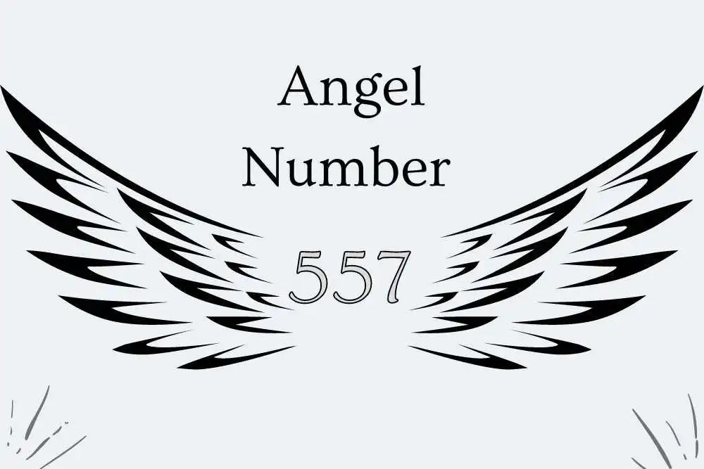 557 Angel Number Meaning Symbolism, Twin Flames, Numerology, and More