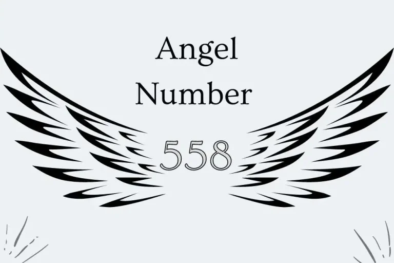 558 Angel Number Meaning – Twin Flames, Numerology and More