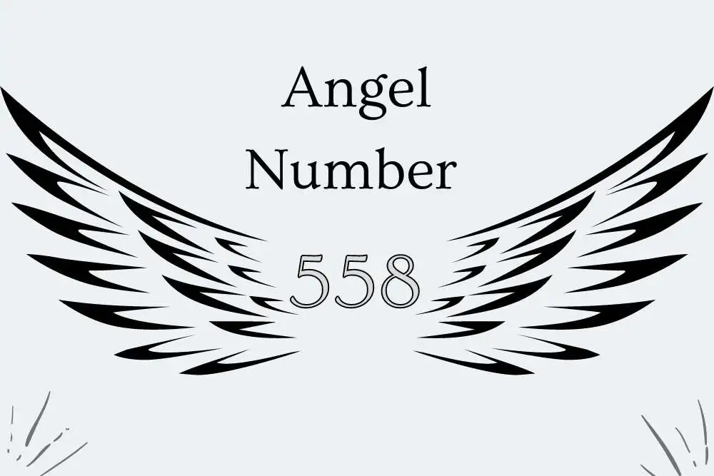 558 Angel Number Meaning Symbolism, Twin Flames, Numerology, and More