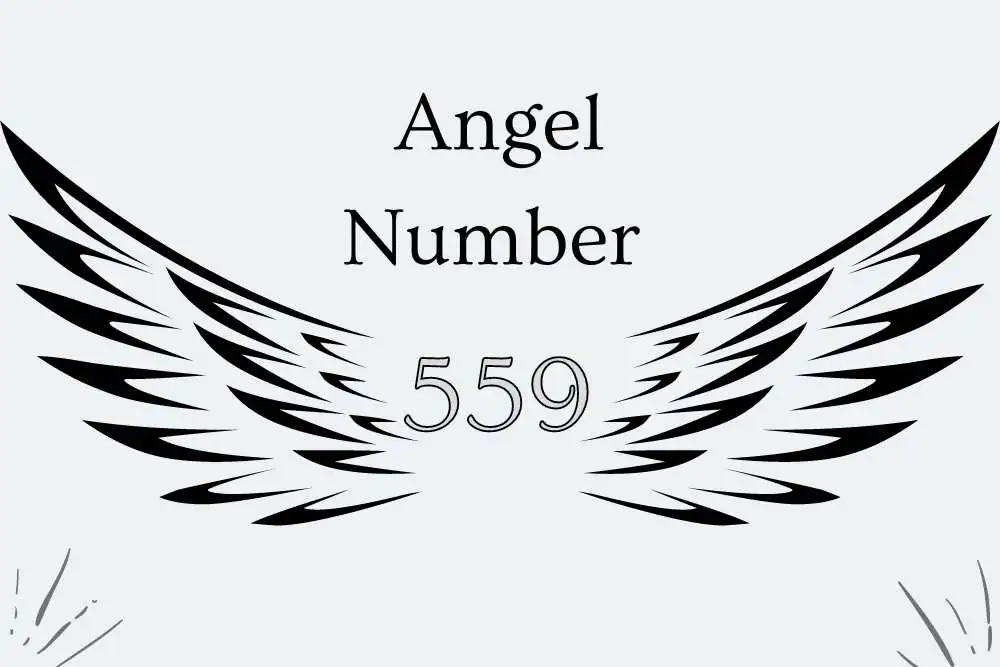 559 Angel Number Meaning Symbolism, Twin Flames, Numerology, and More