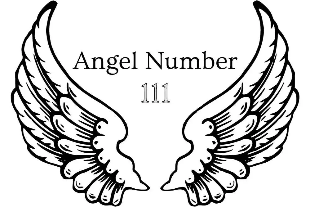 111 Angel Number Meaning - Manifesting, Twin Flame, Money, Soulmate and More