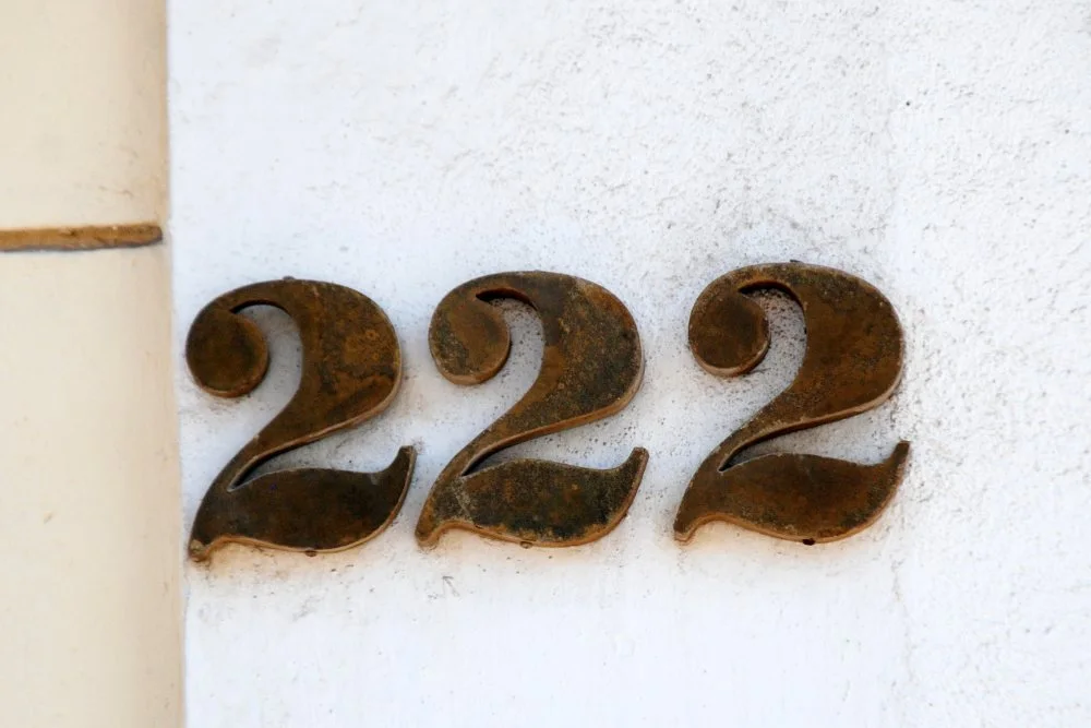 222 Angel Number Meaning - Manifesting, Twin Flame, Love and More