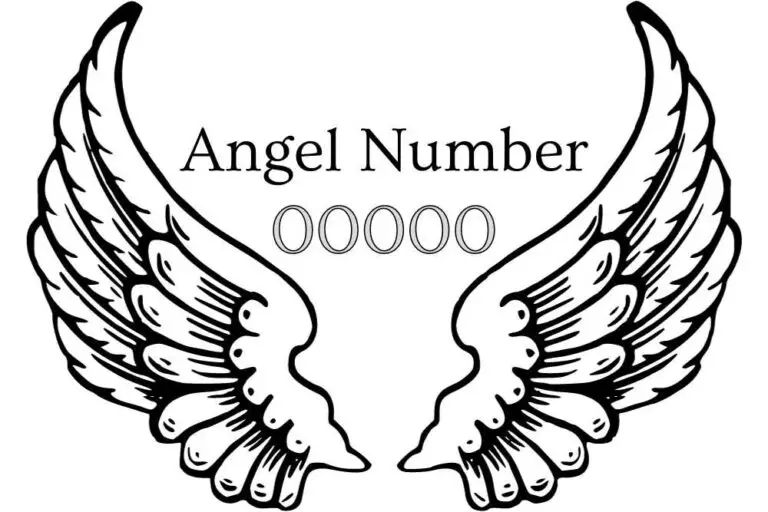 00000 Angel Number Meaning – Manifestation, Love, Twin Flame, Numerology and More