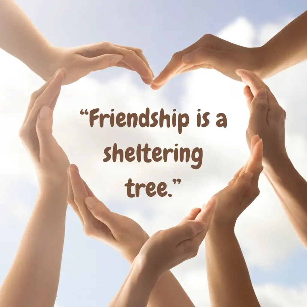 30 Friendship Quotes