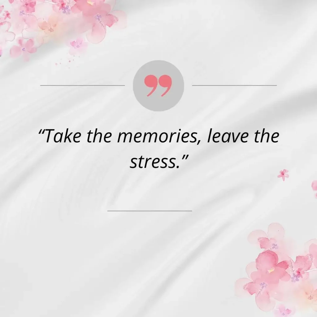 30 Unique Senior Quotes for Yearbook