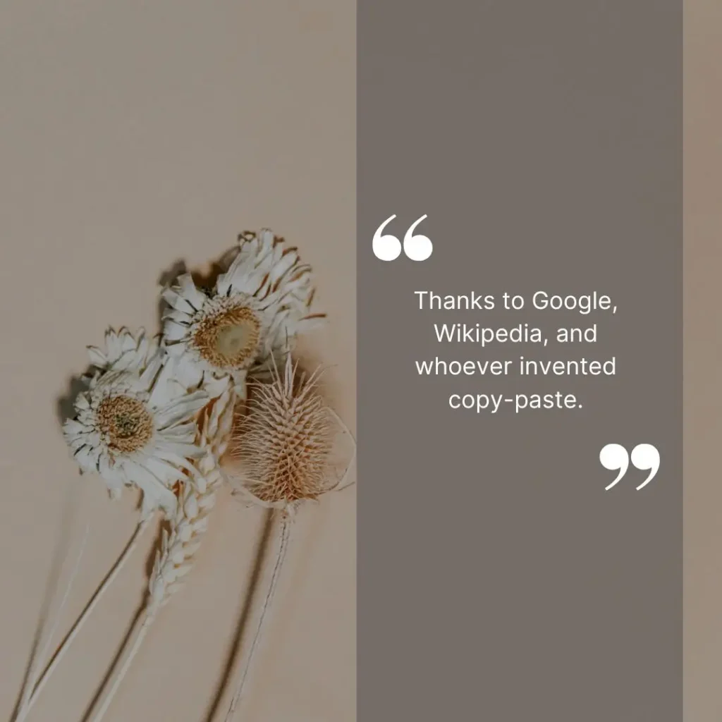 30 Unique Senior Quotes for Yearbook