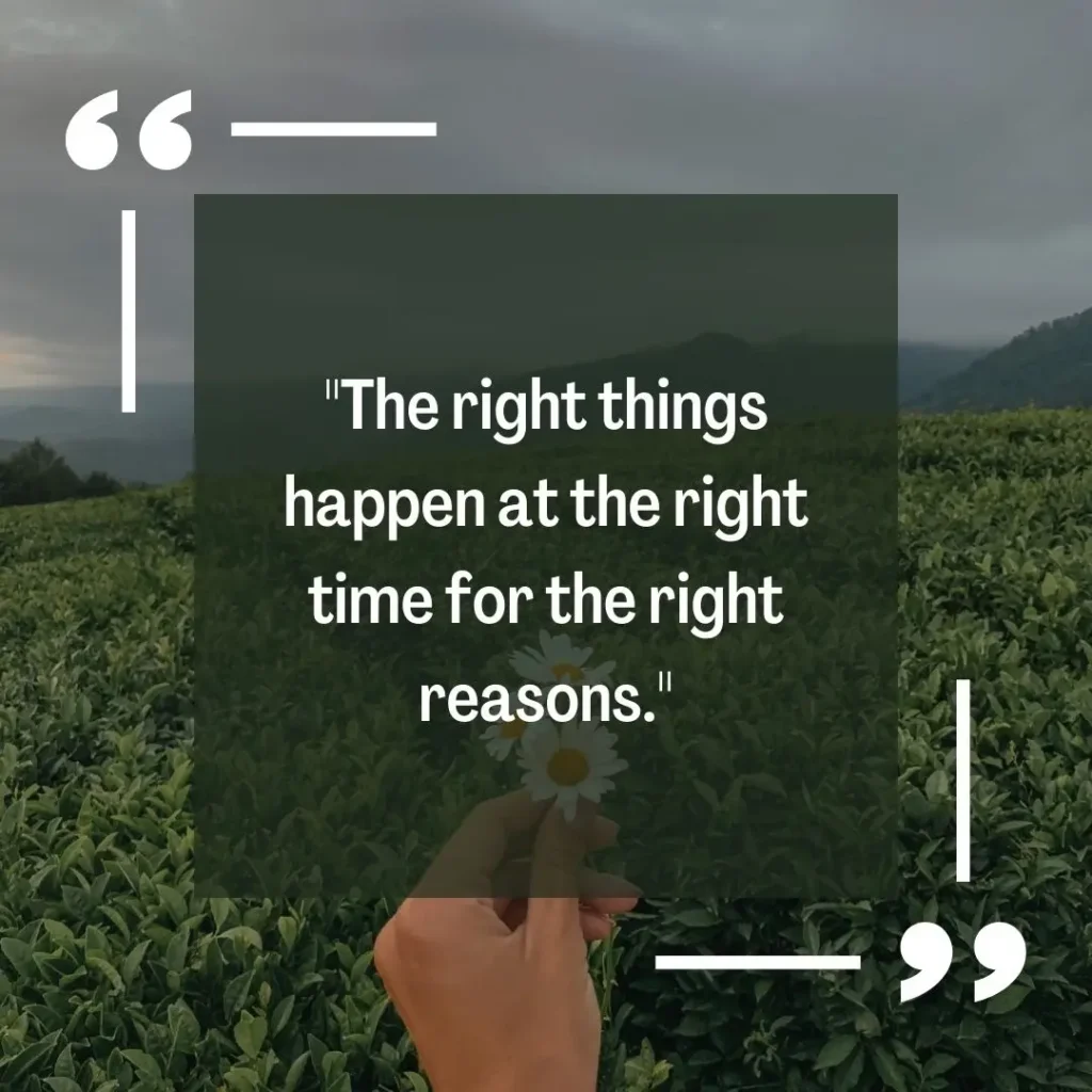 30 Meant to Be Quotes 30 Meant to Be Quotes