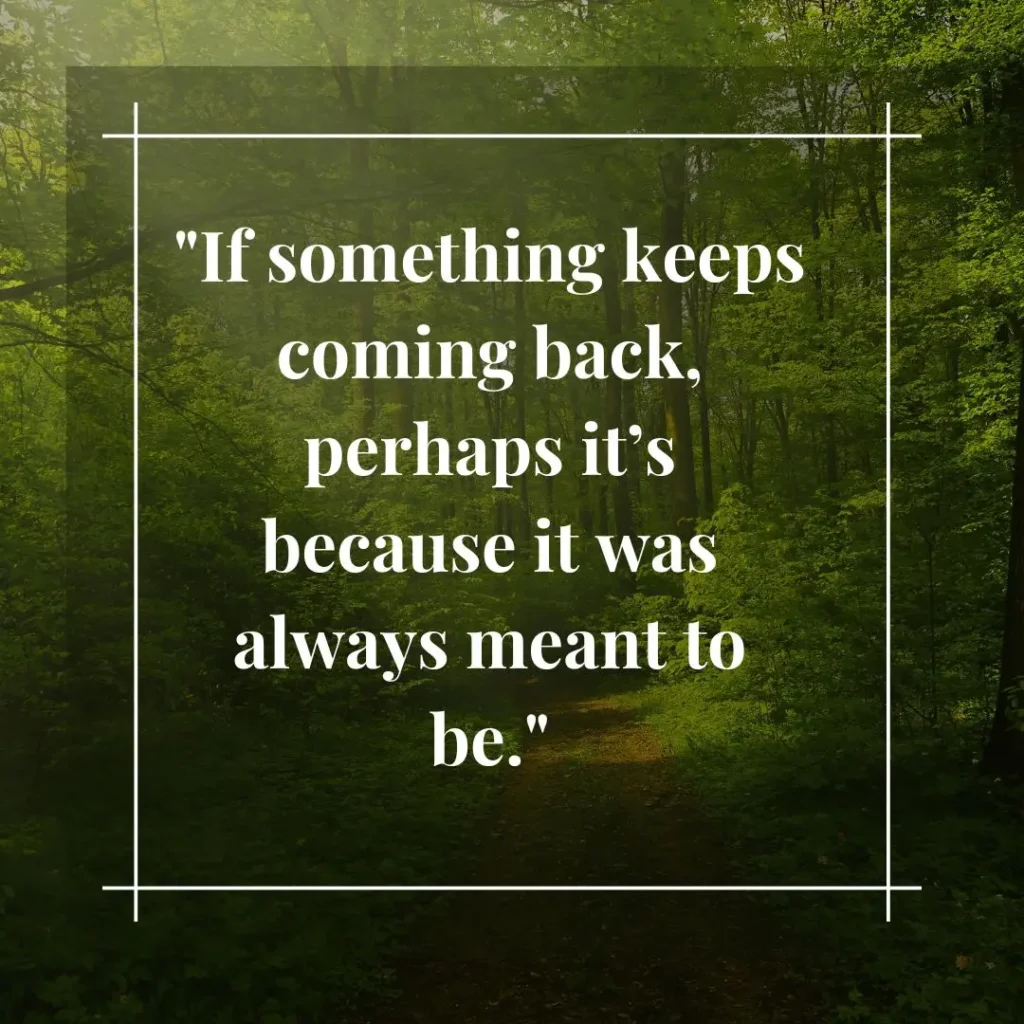 30 Meant to Be Quotes 30 Meant to Be Quotes