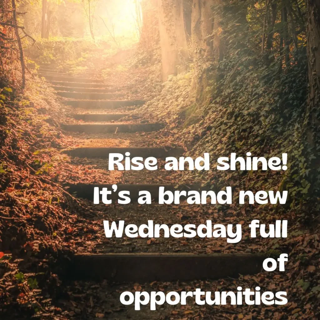 30 Wednesday Morning Quotes to Inspire Your Day
