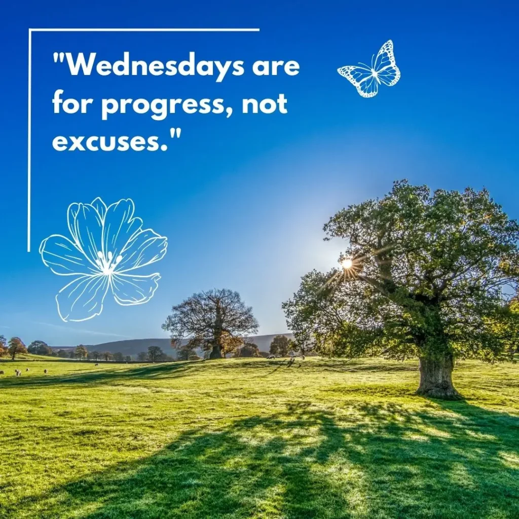 30 Wednesday Morning Quotes to Inspire Your Day