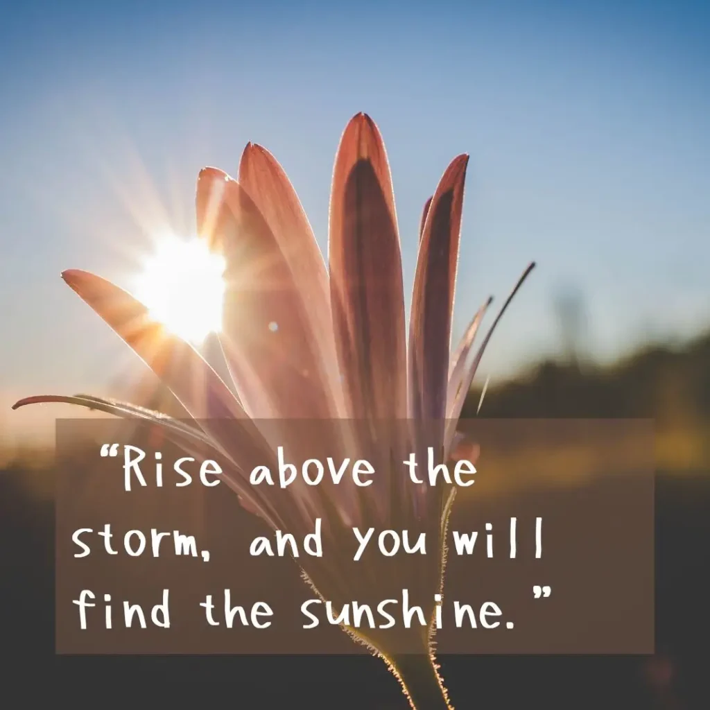 30 Sun Quotes to Brighten Your Day 30 Sun Quotes to Brighten Your Day