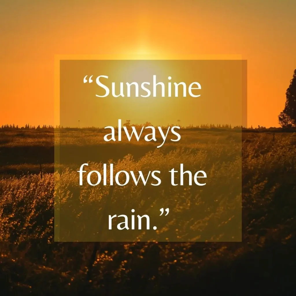 30 Sun Quotes to Brighten Your Day 30 Sun Quotes to Brighten Your Day