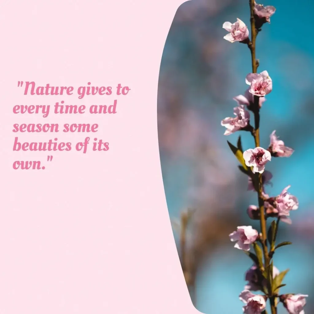 30 Spring Quotes to Celebrate the Season of Renewal 30 Spring Quotes to Celebrate the Season of Renewal