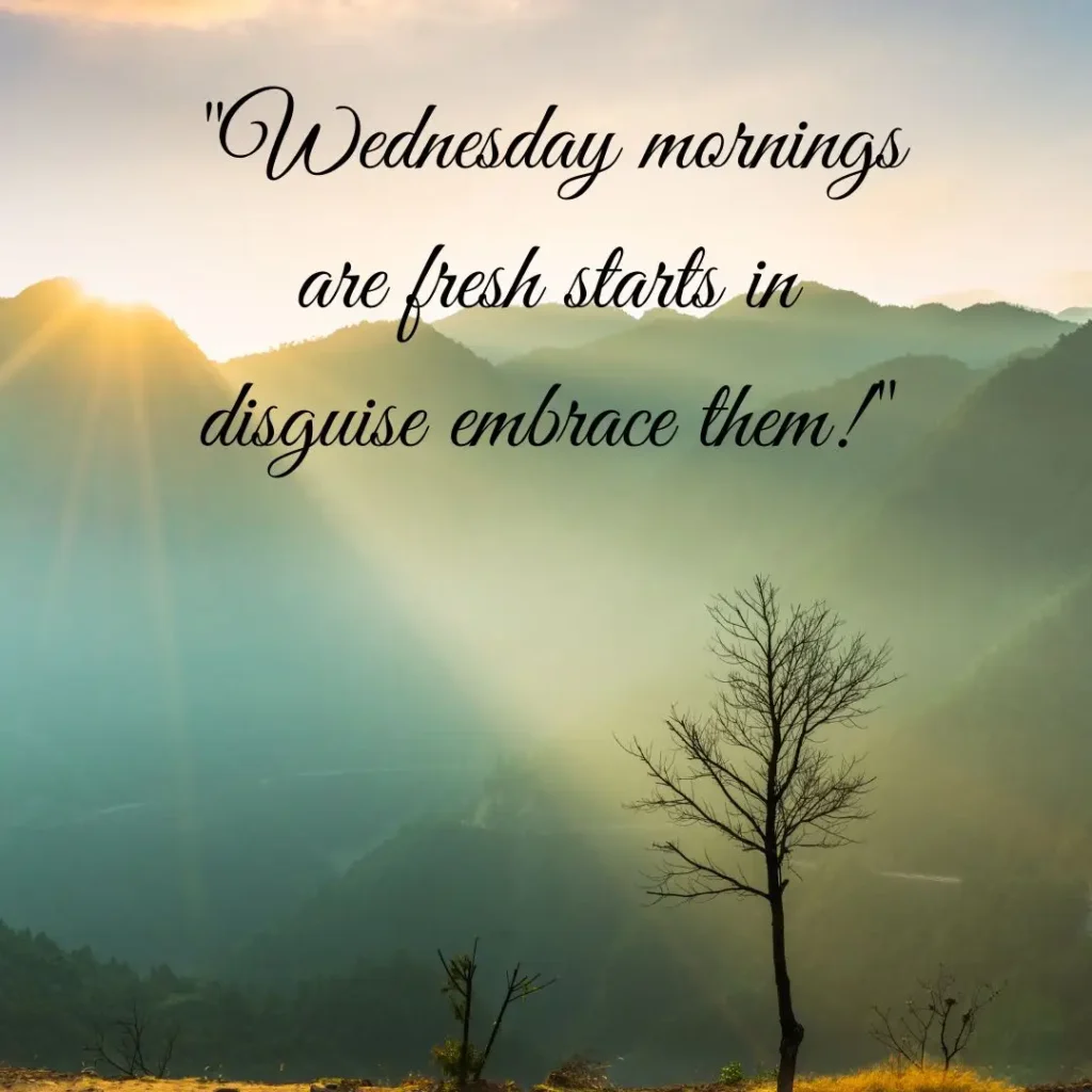 30 Wednesday Morning Quotes to Inspire Your Day