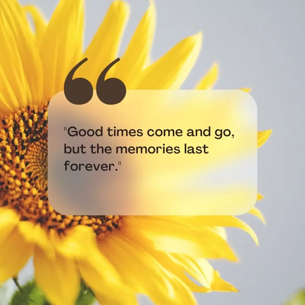 30 Quotes About Memories 30 Quotes About Memories