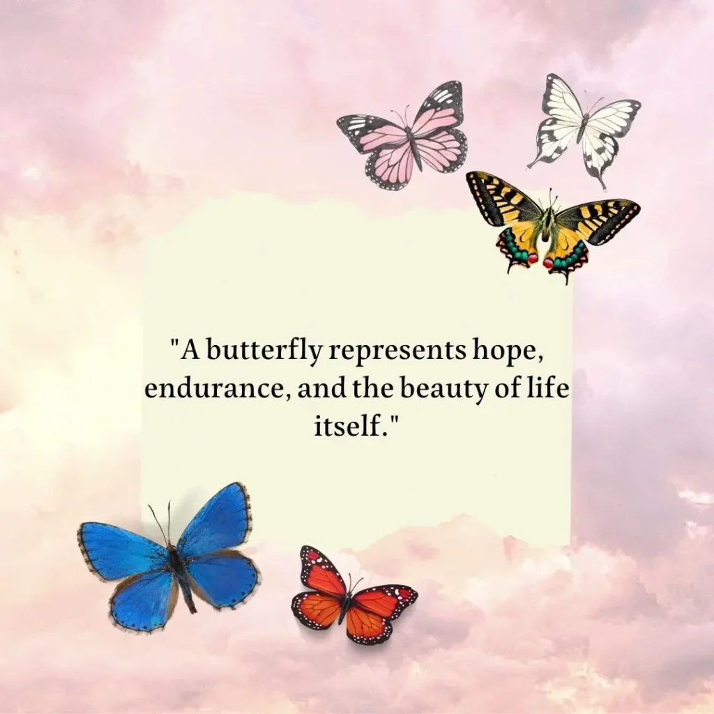 Inspirational Butterfly Quotes To Embrace Change And Growth