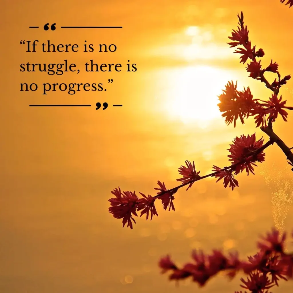 Powerful African American Inspirational Quotes