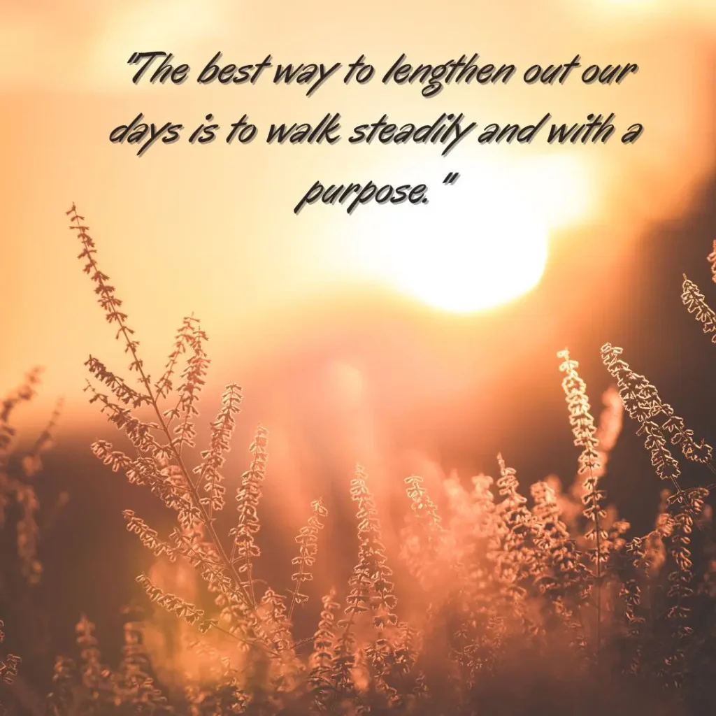 Purpose Quotes to Motivate You to Live a Meaningful Life Purpose Quotes to Motivate You to Live a Meaningful Life