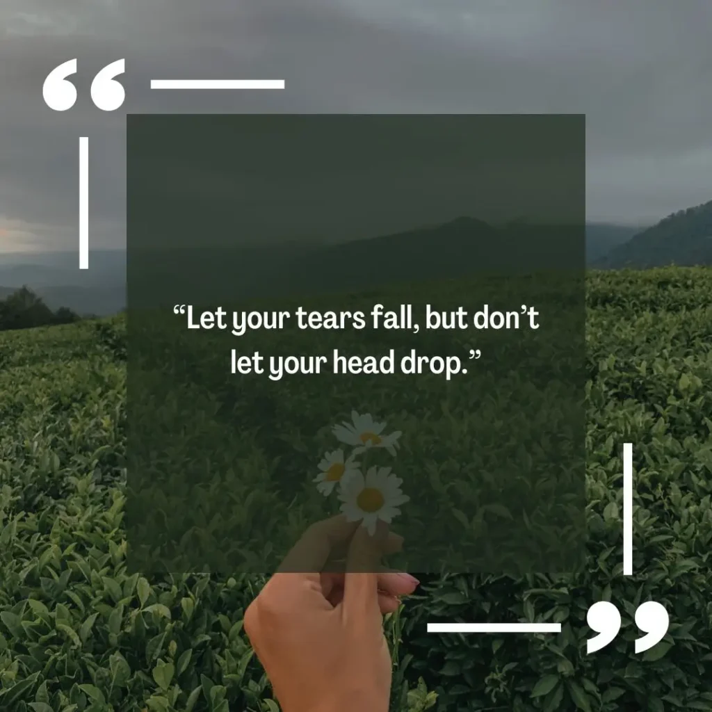 Keep Your Head Up Quotes Keep Your Head Up Quotes