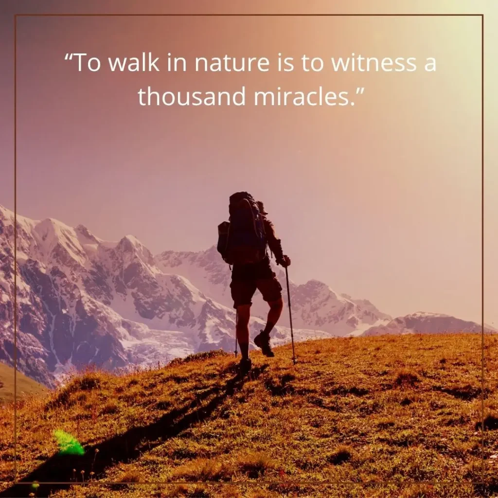 Inspiring Hiking Quotes to Ignite Your Wanderlust Inspiring Hiking Quotes to Ignite Your Wanderlust